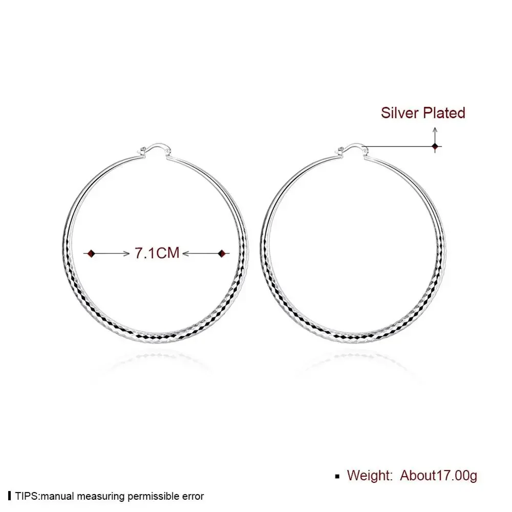 Hot 925 Sterling Silver 7CM  E - Street Fashion Earrings recensie en prijs